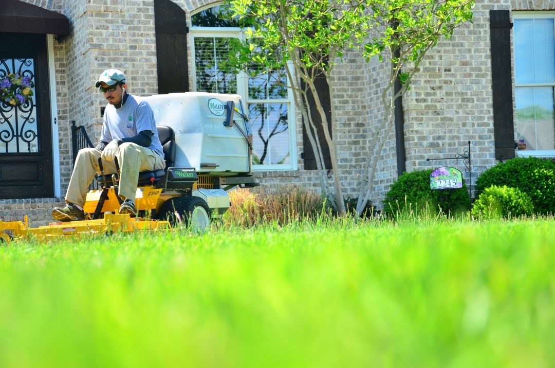 Lawn Care Lincoln Ne Lincoln Tree and Garden